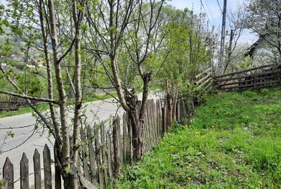 Teren intravilan de 3108 mp, în Teșila - 2