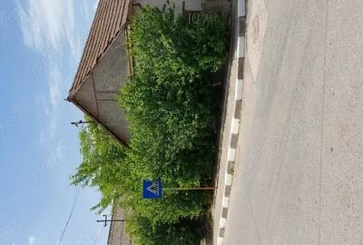 Casă cu 4 camere în Murighiol - 5
