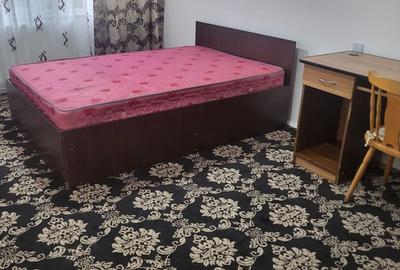 Apartament cu 2 camere decomandat în Central - 7