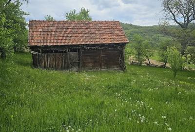 Teren de 50000 mp, în Sichevița