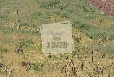 Teren de 2500 mp, în Șelimbăr - 4