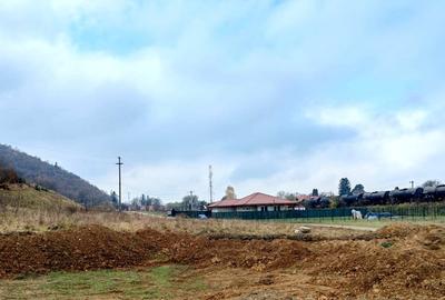 Teren Construcții intravilan de 2000 mp, în Cristian - 1
