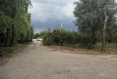 Teren de 2500 mp, în 1 Decembrie - 4