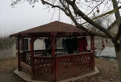 Casă cu 16 camere cu Teren 2500 Mp în Aurora