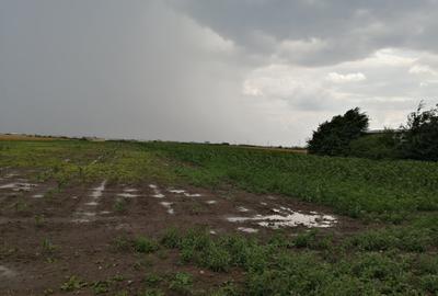 Teren Construcții intravilan de 500 mp, în Giarmata-Vii - 1