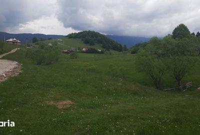 Teren de 1000 mp, în Dâmbovicioara - 3