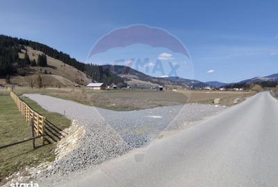 Teren de 7834 mp, în Dorna-Arini - 4
