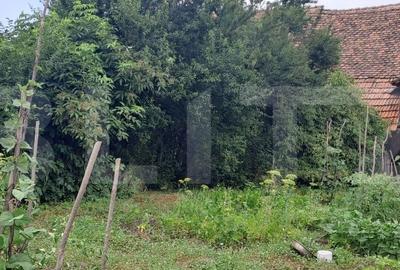 Casă cu 2 camere în Vest