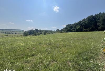 Teren de 559 mp, în Crăciunești - 4