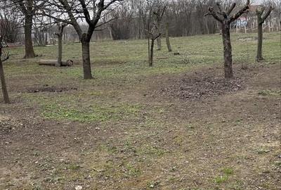 Teren de 1800 mp, în Coșoveni - 7