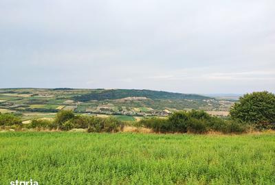 Teren de 1050 mp, în Iris - 2