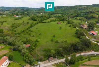 Casă cu Teren 24494 Mp în Lupești - 2