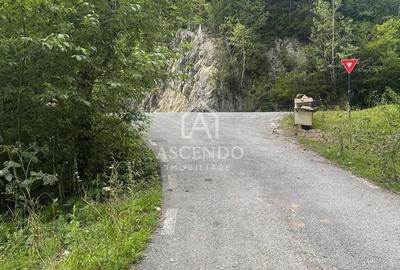 Spațiu comercial, în Podu Dâmboviței - 9
