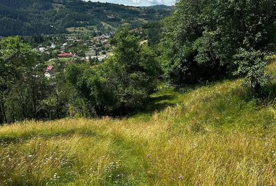 Teren de 5833 mp, în Bistra