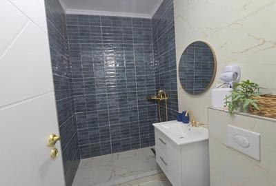 Apartament cu 2 camere decomandat, mobilat în Nord - 4