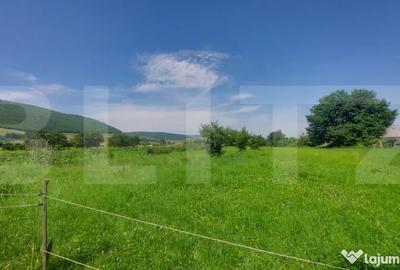 Casă cu 9 camere cu Teren 36000 Mp în Zagon - 7