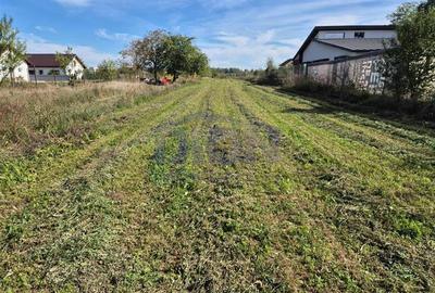Teren intravilan de 2880 mp, în Izvorani - 4