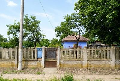 Casă cu 3 camere în Bârca