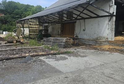 Spațiu comercial, de 2,500 mp, în Nufărul - 6