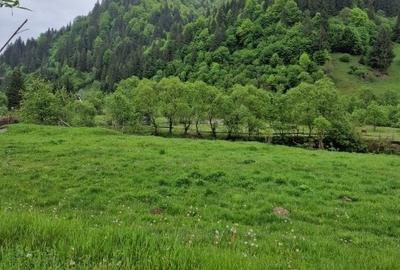 Teren Construcții intravilan de 1775 mp, în Sătic - 6