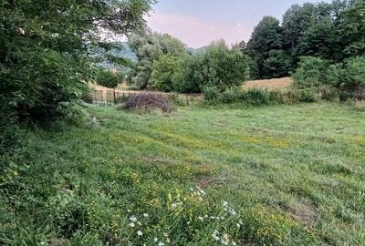 Teren de 3357 mp, în Valea Iașului - 9