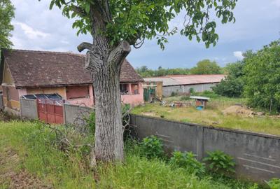 Casă cu 3 camere în Ghioroc - 6