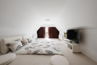Casă cu 8 camere cu Teren 2500 Mp în Ghermănești