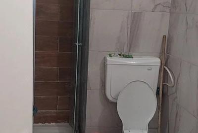 Apartament cu 2 camere decomandat în Ferentari - 9