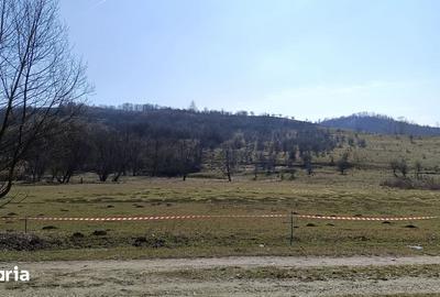 Teren de 2500 mp, în Central - 17