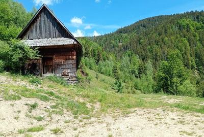 Casă cu 3 camere în Horea