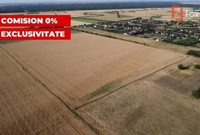 Teren Construcții intravilan de 24700 mp, în Pădureni (Jebel) - 9