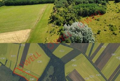 Teren agricol extravilan de 63100 mp, în Măgheruș - 3