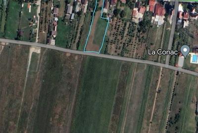 Teren de 3000 mp, în Budeasa