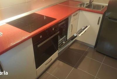 Garsonieră, mobilată în Pieptănari - 5