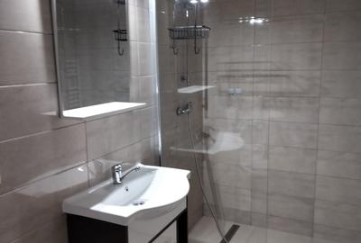 Apartament cu 2 camere decomandat în Dosu Bricii