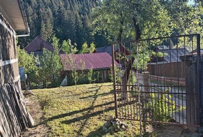 Casă cu 3 camere în Scărișoara - 1