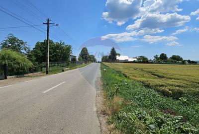 Teren Construcții intravilan de 15000 mp, în Prelipca - 1