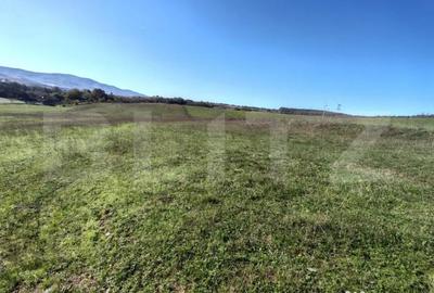 Teren de 2900 mp, în Central - 5