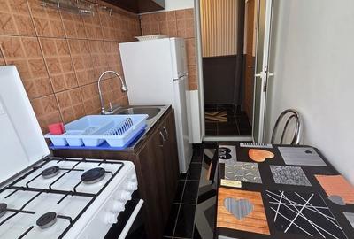 Apartament cu 2 camere în Banat - 3