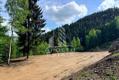 Teren Construcții extravilan de 18000 mp, în Exterior Sud - 19