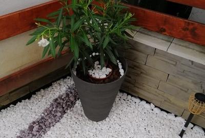 Apartament cu 2 camere decomandat în Valea Alba - 3