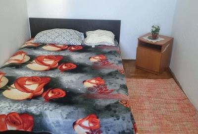 Apartament cu 2 camere nedecomandat în Șagului - 4