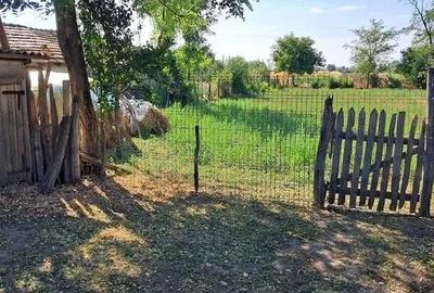 Casă cu 3 camere cu Teren 1828 Mp în Boboc - 6