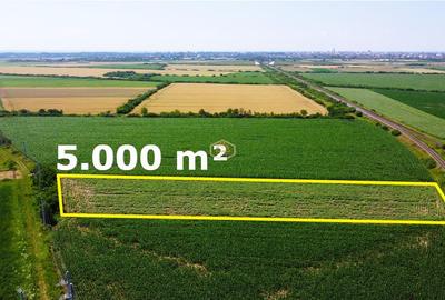 Teren agricol extravilan de 5000 mp, în Botizului - 6