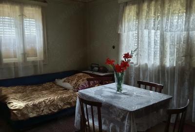 Casă cu 3 camere cu Teren 3000 Mp în Vale