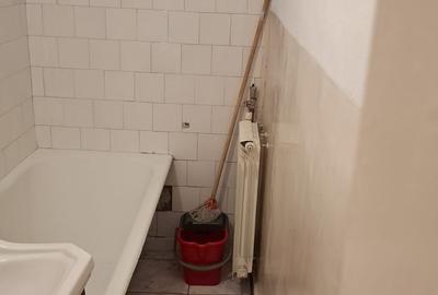 Apartament cu 2 camere semidecomandat în Nufărul - 4
