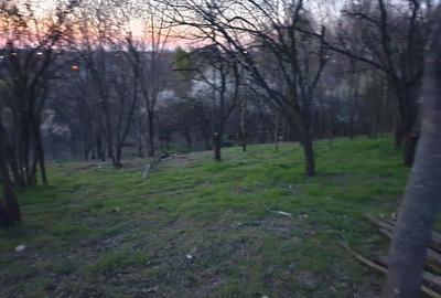 Teren de 2117 mp, în Malu Mare - 3
