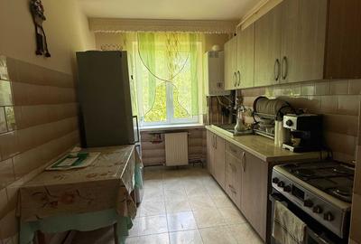 Apartament cu 2 camere semidecomandat în Săsar - 7