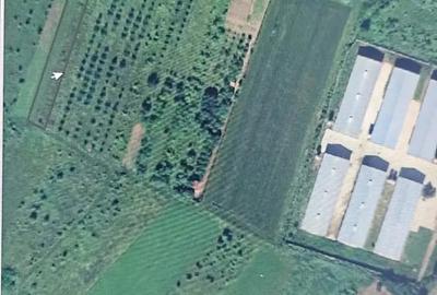 Teren de 2184 mp, în Mintia - 8