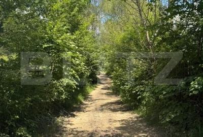 Teren de 5049 mp, în Molid